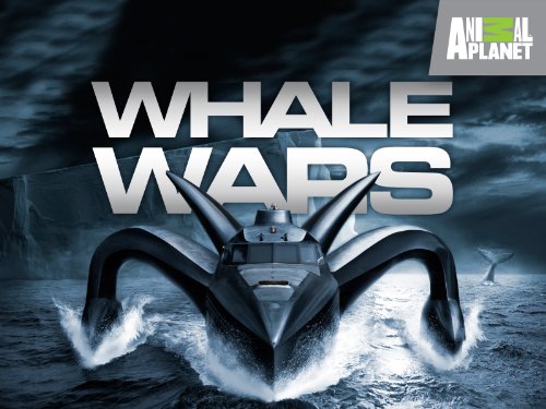 Whale Wars Speedboat