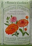 Calendula Flashback Seeds 125 Seeds 51Ws9vgAcIL. SL160 Calendula Flashback Seeds 125 Seeds