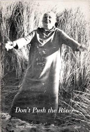 Don't Push the River (It Flows By Itself) by Barry Stevens (1970-06-03)