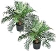 TWO Pre-potted 2' Phoenix Palm Artificial Silk Plants