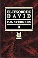 Tesoro de David Volumen II (Spanish Edition)
