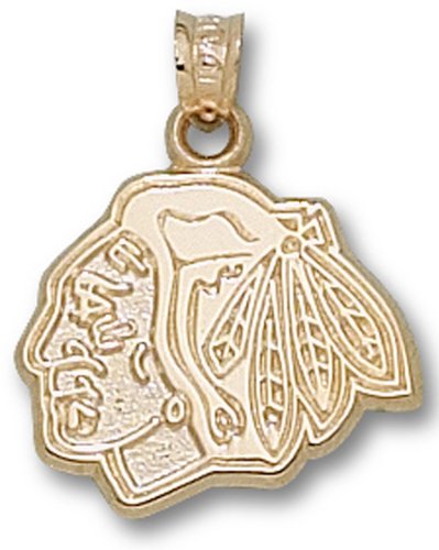 Chicago Blackhawks Pendant - 10K Gold Head Logo