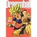 Dragon ball - Perfect Edition Vol.22