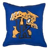University of Kentucky Floor Pillow