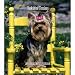 yorkshire_terrier6yorkshire terrier - Yorkshire Terriers 2010 Hardcover Engagement Calendar