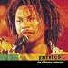 Garnet Silk: The Definitive Collection (2CD) [CD on Demand]