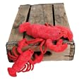 Plush Newburg Lobster 6"