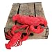 Plush Newburg Lobster 6