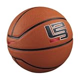 Nike Lebron All-Courts Indoor/Outdoor Basketball