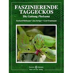 Faszinierende Taggeckos: Die Gattung Phelsuma