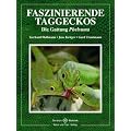 Faszinierende Taggeckos: Die Gattung Phelsuma