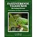 Faszinierende Taggeckos: Die Gattung Phelsuma