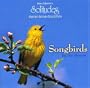 Songbirds by the Stream