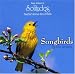 Songbirds by the Stream