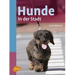 Hunde in der Stadt
