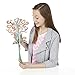 Play-Doh DohVinci Jewelry Tree Kit