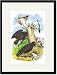 Black Framed/Matted Print 17x23, The Raven