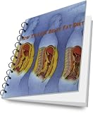 How To Lose Belly Fat Diet