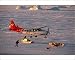 Photographic Prints of A dog sled hauls supplies from a cessna caravan plane from ArcticPhoto