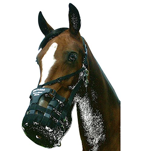 Best Friend Have a Heart Muzzle