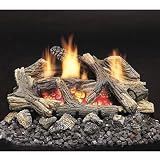 24 Inch Aged Hickory Log Set w/ Millivolt Control NG