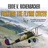 Fighting the Flying Circus