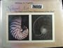 Nature's Art: Inner and Outer Dimensions of the Shell