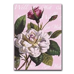 Get Well with Camellia - 5" x 7" Vellum Overlay Greeting Card