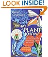 What a Plant Knows