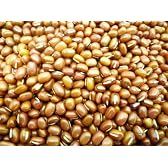 豆力　契約栽培十勝産　小豆　250ｇ