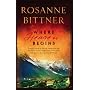 Where Heaven Begins (Steeple Hill Women's Fiction #7)
