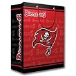 Tampa Bay Buccaneers NFL Medium Gift Bag (9.75 Tall)"