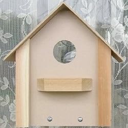 Looker Window Bird House