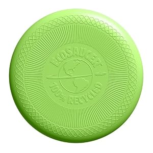 Green Toys EcoSaucer Flying Disc