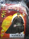 Mask of Zorro Halloween Costume