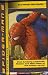 2004 Upper Deck Movie Cards - Marvel Spider-Man 2 Trading Cards Pack (5 Cards/Pack)