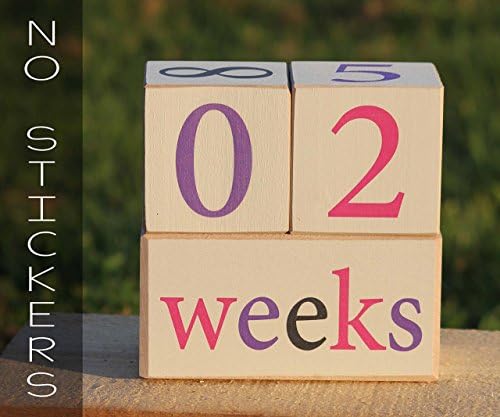 Photography prop for baby. Baby Age Blocks, NO STICKERS! Pregnancy Announcement