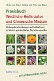 Zoom Produkt-Bild: Praxisbuch Westliche Kr&auml;uter und Chinesische Medizin: Wirkungsbeschreibungen und Indikationen der im Westen gebr&auml;uchlichen Phytotherapeutika