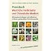 Praxisbuch Westliche Kr�uter und Chinesische Medizin: Wirkungsbeschreibungen und Indikationen der im Westen gebr�uchlichen Phytotherapeutika