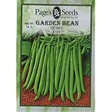 Bean Derby Bush