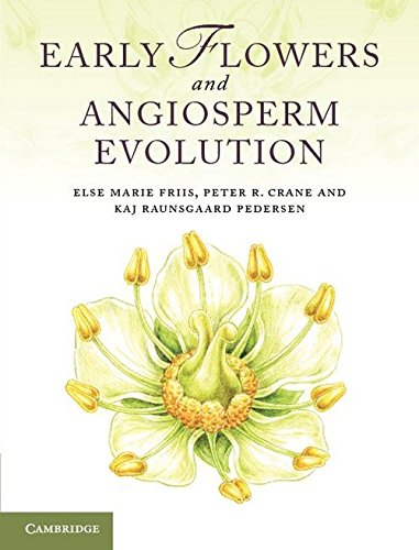 early flowers and angiosperm evolution