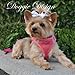 Doggie Design Dog Harness - No Choke Dog Harness, Dog Vest, Mesh Polyester, Pet Harness, Simple Step in and Go Design, Harness for Dog - Candy Pink, XXS