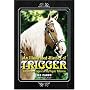 An Illustrated History of Trigger: The Lives and Legend of Roy Rogers' Palomino
