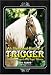 An Illustrated History of Trigger: The Liv and Legend of Roy Rogers' Palomino