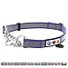 Pawtitas Chain Martingale Dog Collar Puppy Collar Reflective Dog Collar Training Dog Collar Behavioral Dog Chain Collar Collar Medium Dog Collar Purple Dog Collar