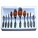 Queentools Professional 10-Piece Soft Oval Makeup Brush Set for women