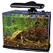 Tetra Crescent Aquarium Kit, 3-Gallon