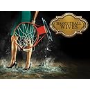 Basketball Wives