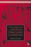The Surgeon in Medieval English Literature (The New Middle Ages)
