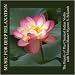 The Beauty of The Classical Indian Violin With Virtuoso Master Mysore V. Srikanth